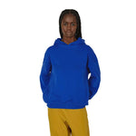 Asics - Unisex Novalis x Bixance Hoodie (2203A231 400)