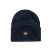 Dickies - Bonnet en tricot (WH201 DN)