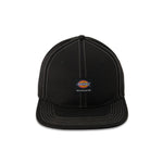 Dickies - Casquette Snapback Skateboarding Flat Bill pour hommes (WHR57BK)