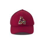 Fanatics - Men's Arizona Coyotes Spacer Mesh Structured Cap (01TL 0513 2G3 MN4)