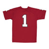 Kids' (Junior) South Carolina Football Jersey (KSCARFBJERRED)