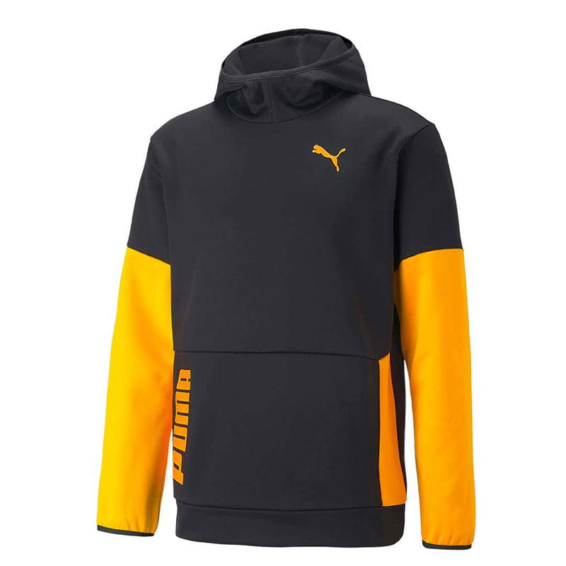 Puma - Sweat à capuche Train All Day pour homme (522340 51)