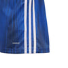 adidas -  Kids’ (Junior) Tiro 19 Jersey (DP3179)