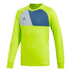 adidas - Kids’ (Junior) Assita 17 GoalKeeper Jersey (CV7747)