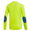 adidas - Kids’ (Junior) Assita 17 GoalKeeper Jersey (CV7747)