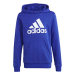 adidas - Kids' (Junior) Big Logo Essential Cotton Hoodie (IC6834)