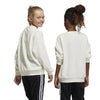 adidas - Kids' (Junior) Collegiate Graphic Pack Crew Sweatshirt (IJ0737)