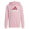 adidas - Kids' (Junior) Big Logo Essential Cotton Hoodie (IB8774)