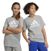 adidas - Kids' (Junior) Essentials Big Logo Cotton T-Shirt (HR6379)