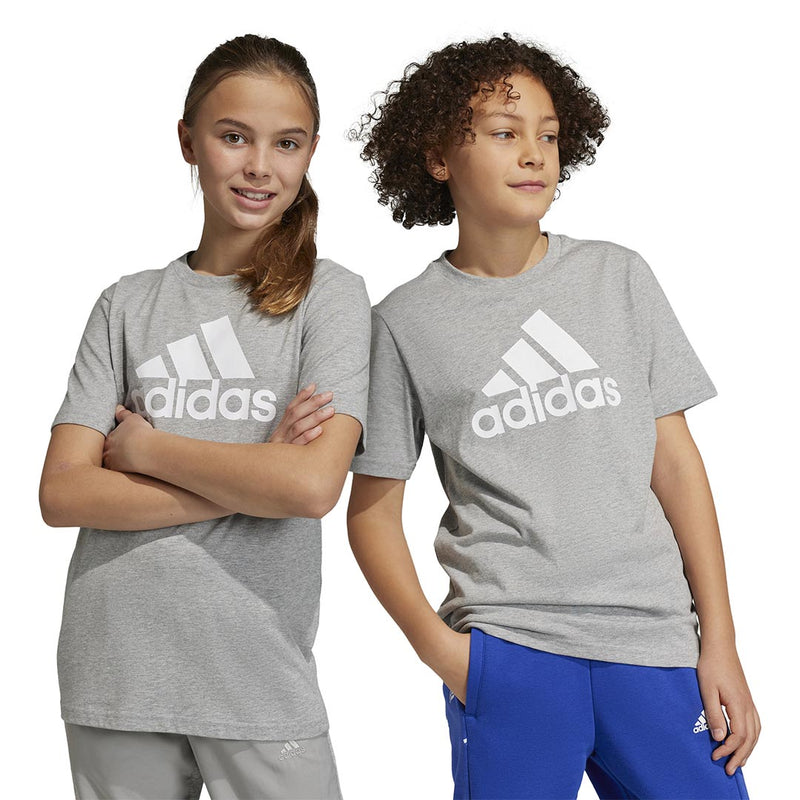 adidas - Kids' (Junior) Essentials Big Logo Cotton T-Shirt (HR6379)