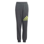 adidas - Kids' (Junior) Essentials Big Logo Pants (IJ7069)