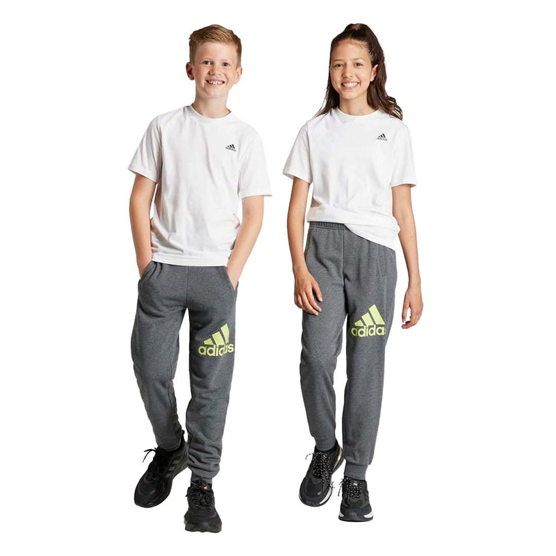 adidas - Kids' (Junior) Essentials Big Logo Pants (IJ7069)