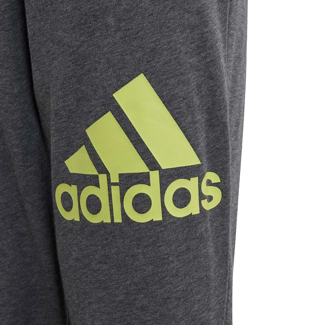 Adidas Essentials Regular Fit Big Logo Cotton Pants Youth L L Dgreyh Pullim