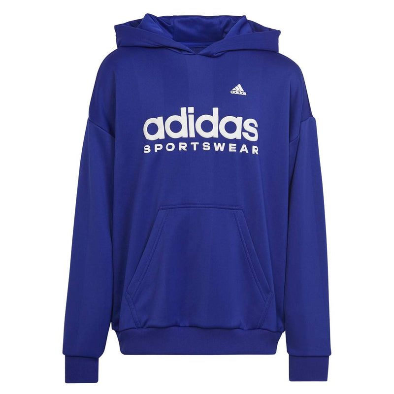 adidas - Kids' (Junior) Football Celebration Hoodie (IC9999)