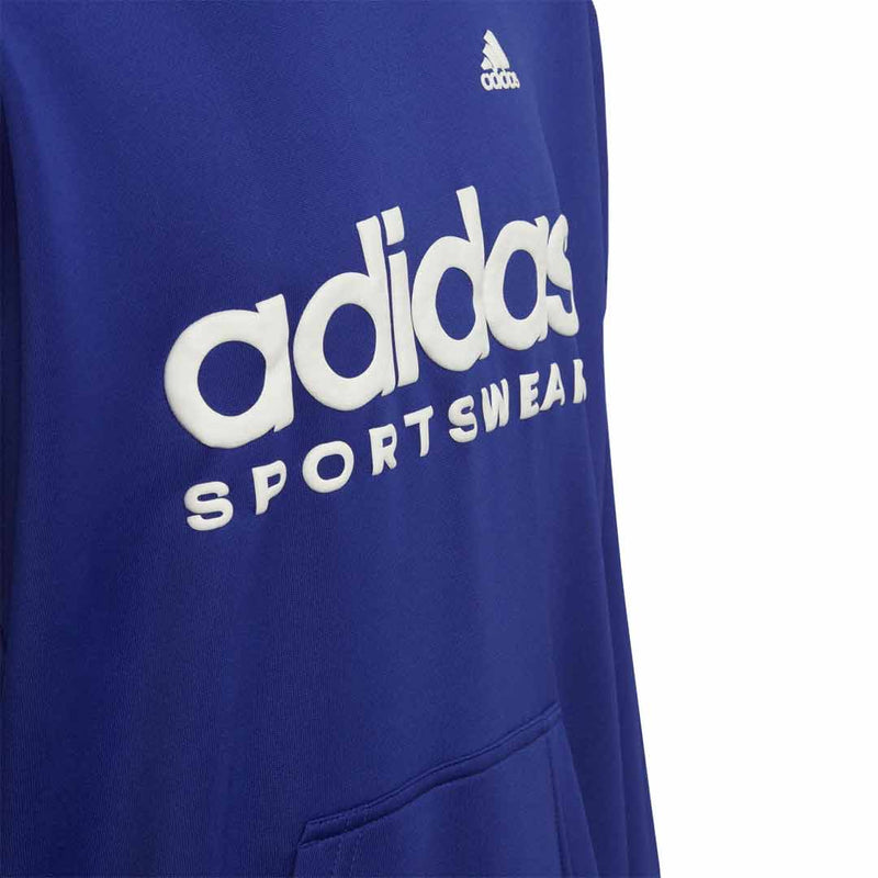 adidas - Kids' (Junior) Football Celebration Hoodie (IC9999)