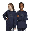 adidas - Kids' (Junior) Future Icons Logo Hoodie (IC9536)