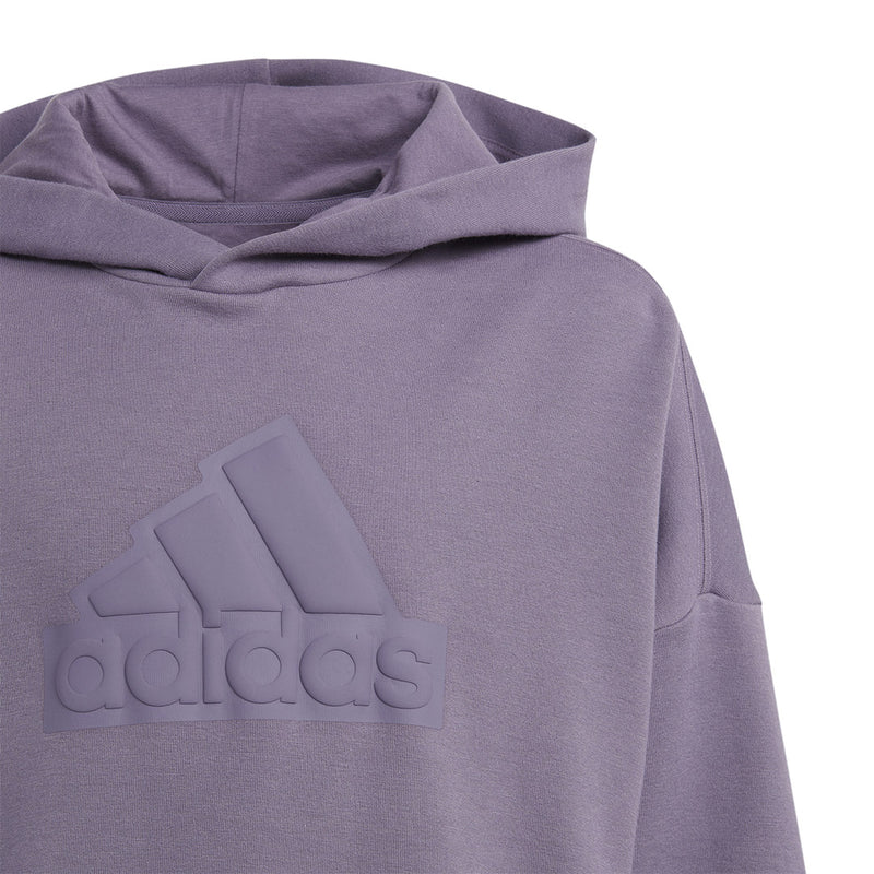 adidas - Kids' (Junior) Future Icons Logo Hoodie (IK6875)