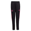 adidas - Kids' (Junior) Pogba Training Track Pants (HS0545)