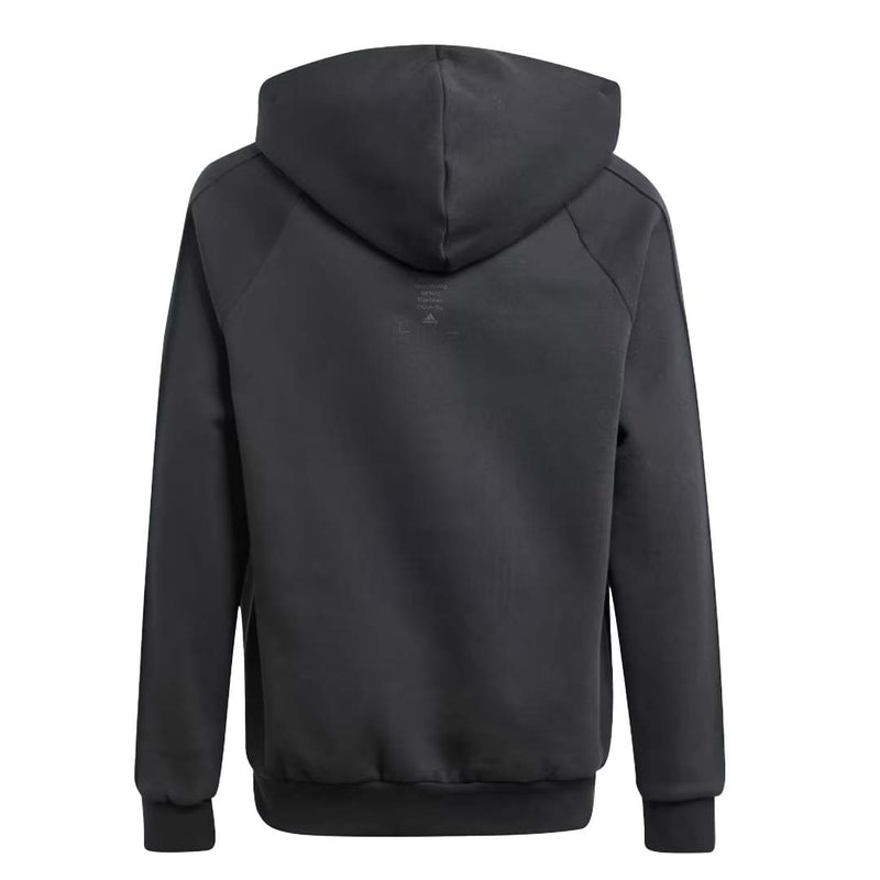 adidas - Kids' (Junior) The Safe Space Hoodie (IT4841)