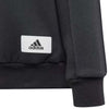 adidas - Kids' (Junior) The Safe Space Hoodie (IT4841)