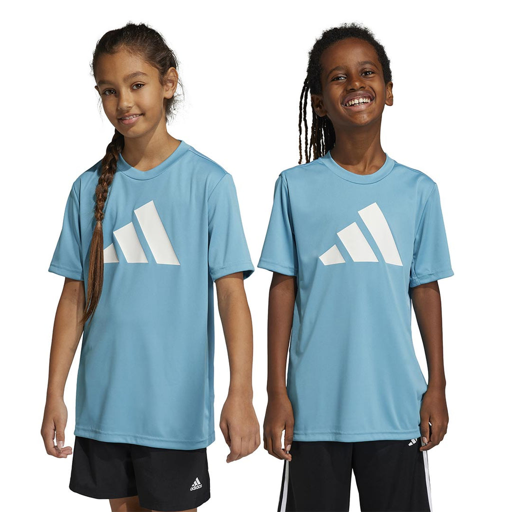 adidas - Kids' (Junior) Train Essentials Aeroready Logo T-Shirt (IC5661)