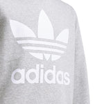 adidas - Kids' (Junior) Trefoil Crew Sweatshirt (GD2709)