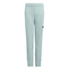 adidas - Kids' (Junior) Z.N.E Pants (IK5715)