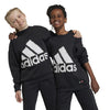 adidas - Kids' (Junior) adidas x Classic Lego Crewneck Sweatshirt (IJ9696)