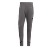 adidas - Men's Toronto FC Pant (IW9453)