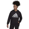 adidas - Women's Essentials Logo Boyfriend Fleece Hoodie (HD1756)