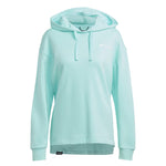 adidas - Women's Terrex Logo Hoodie (IB2704)