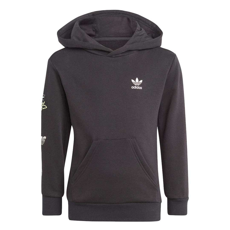 adidas - Kids' (Toddler & Junior) Graphic Hoodie And Pant Set (IJ0738)