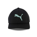 Puma - Casquette Evercat Mesh Stretch Fit (PV1670 012)